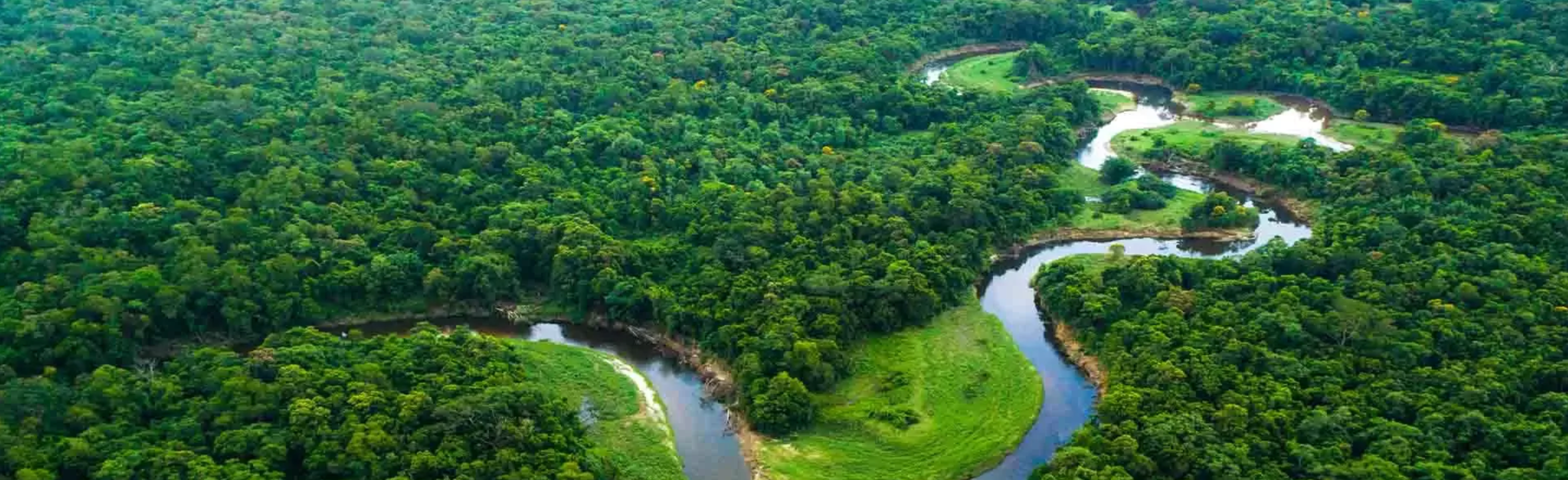 Ekran Resmi 2025-06-13 14.10.32