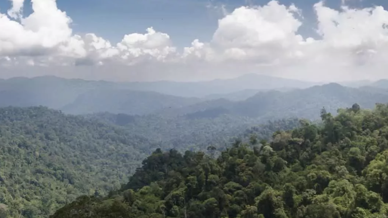 Ekran Resmi