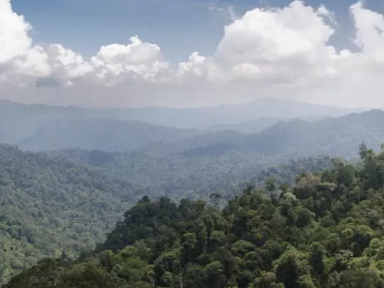Ekran Resmi